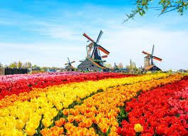 Netherlands visa for visiting friends, family and relatives