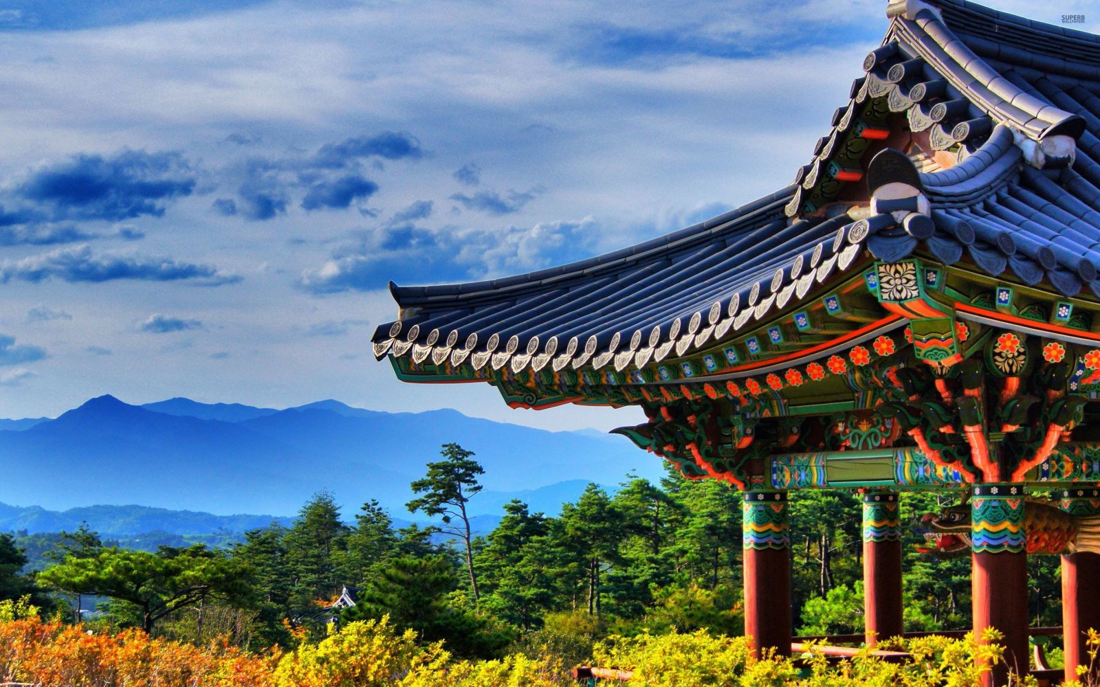 Why should you travel to Korea in the summer?