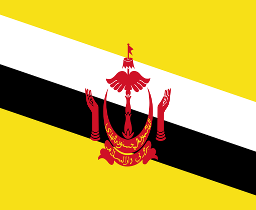 Xin visa Brunei