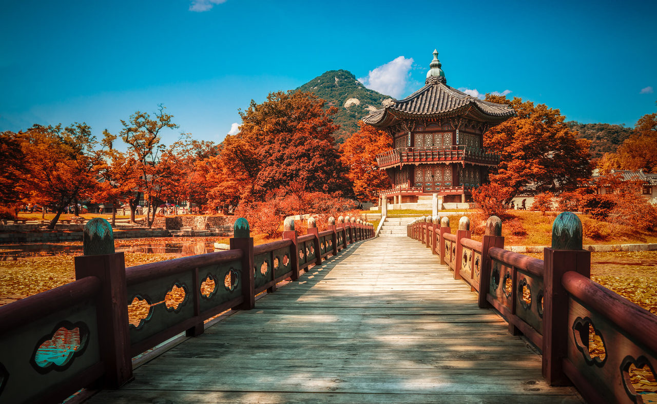 Visavietnamsupport通过旅行告诉您韩国旅行的经历
