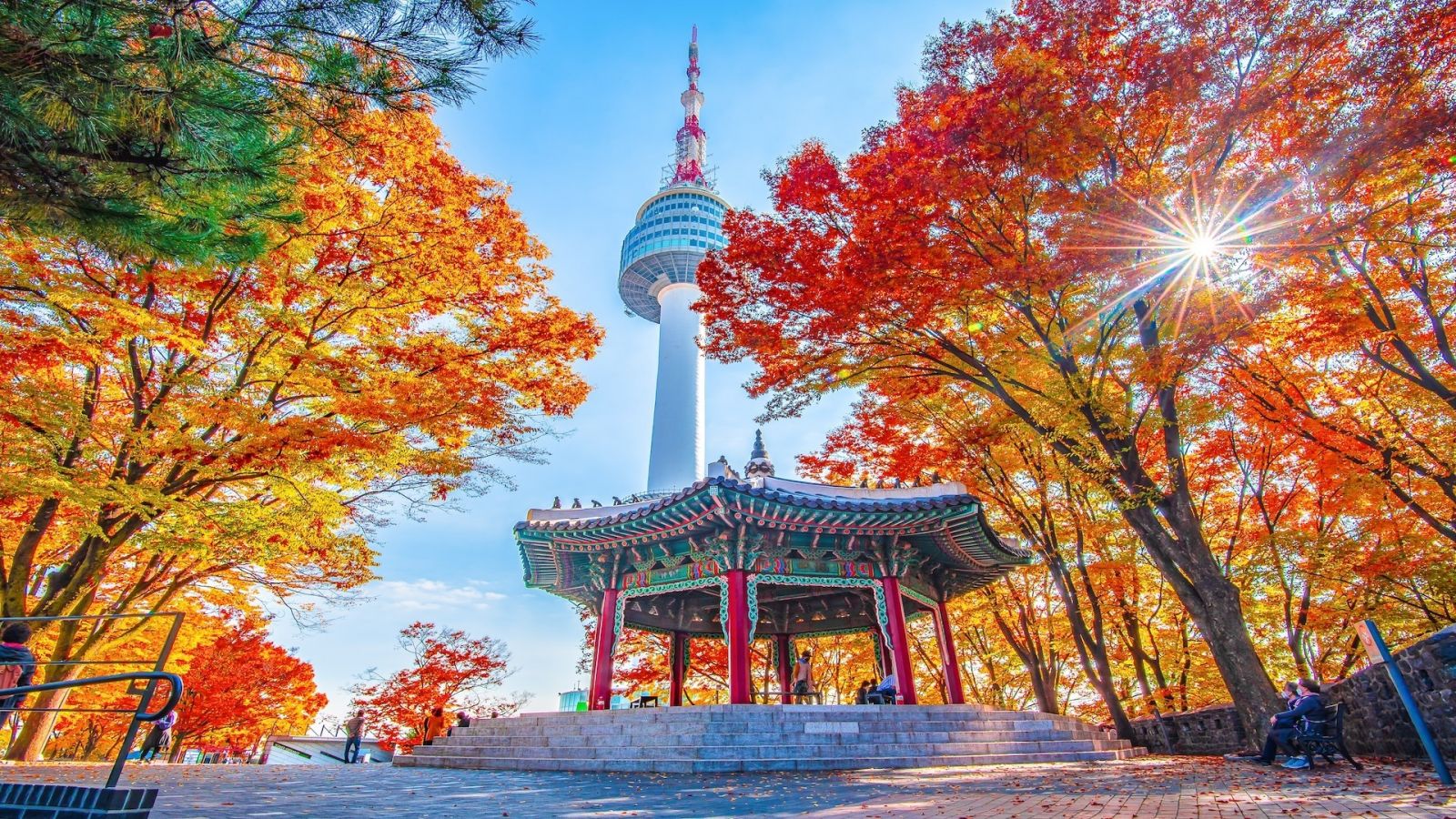 Seoul Về Đêm - Khám Phá Thành Phố Không Bao Giờ Ngủ