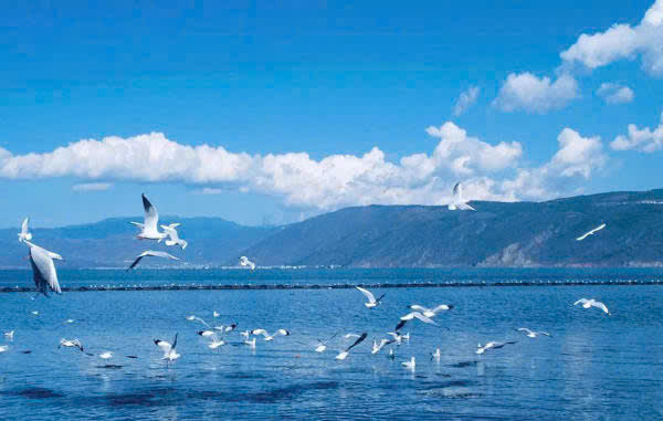 Bảng giá dịch vụ xin visa Trung Quốc 2025