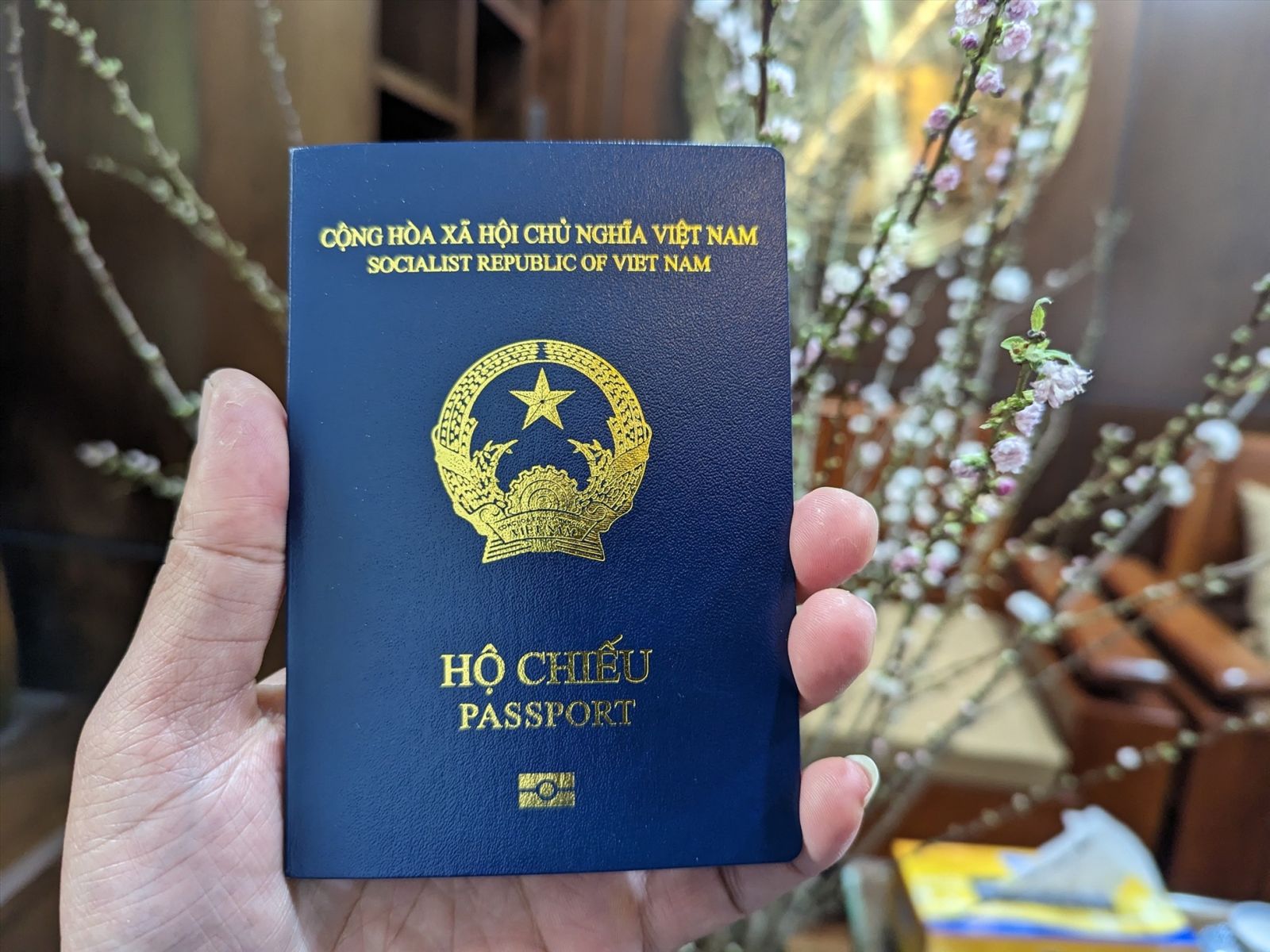 Hộ chiếu Việt Nam thăng hạng quyền lực toàn cầu
