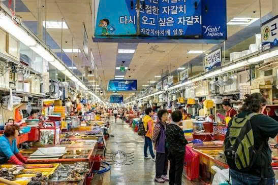 Busan nhìn từ nhịp sống ven biển.