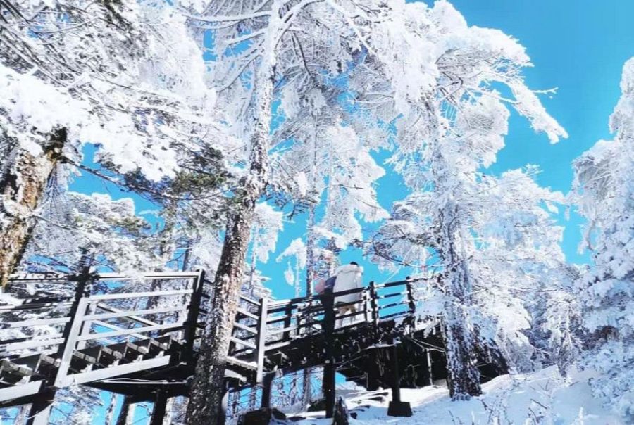 Du xuân Vân Nam: Hành trình khám phá Côn Minh và Kiệu Tử Sơn từ Hà Nội