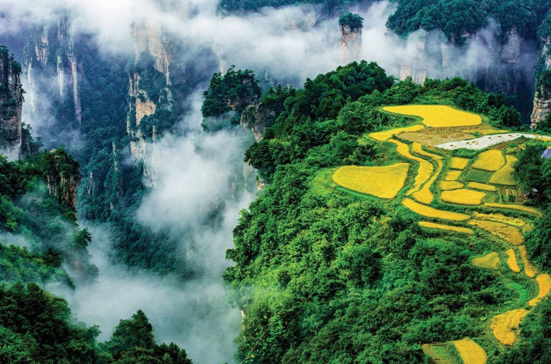 Trương Gia Giới – Khung Cảnh Núi Đá Như Thế Giới Trong Phim